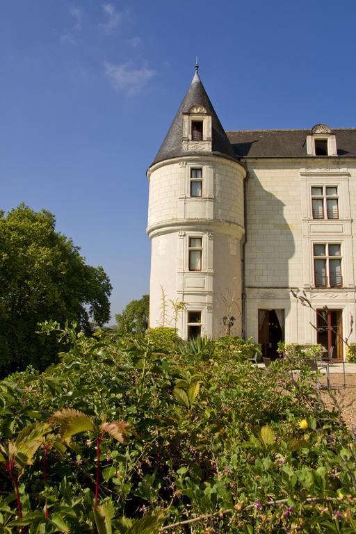Chateau De Chissay, Hotel De Charme Pres De Chenonceau Et Le Zoo De Beauval Exteriér fotografie